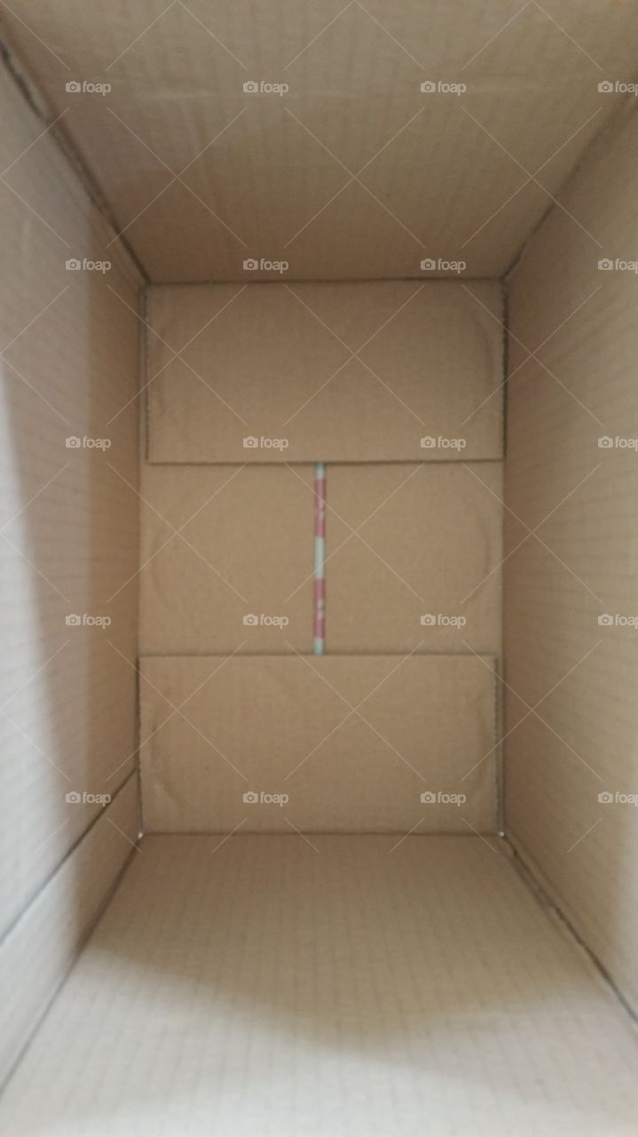 Box. Inside box.