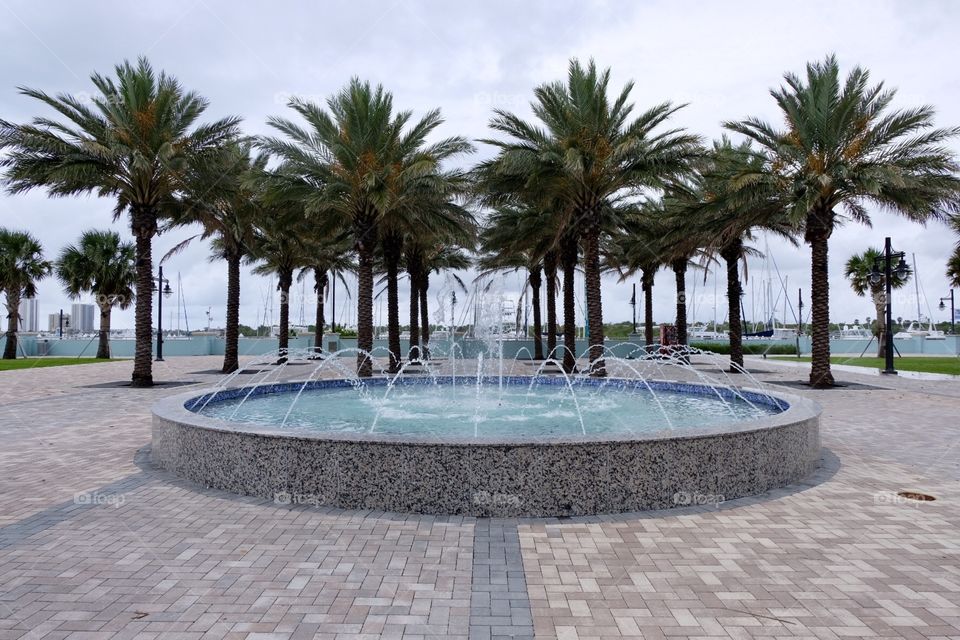 Marina fountain in front of palm trees