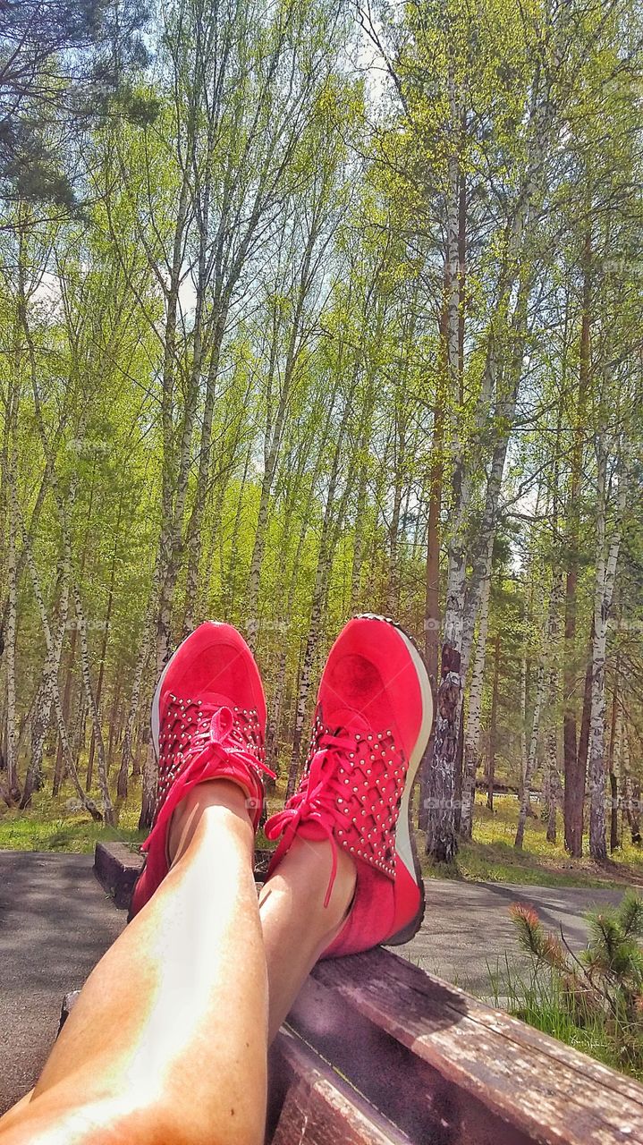 женские ноги в красных кроссовках закинуты на лавочку на фоне берез
