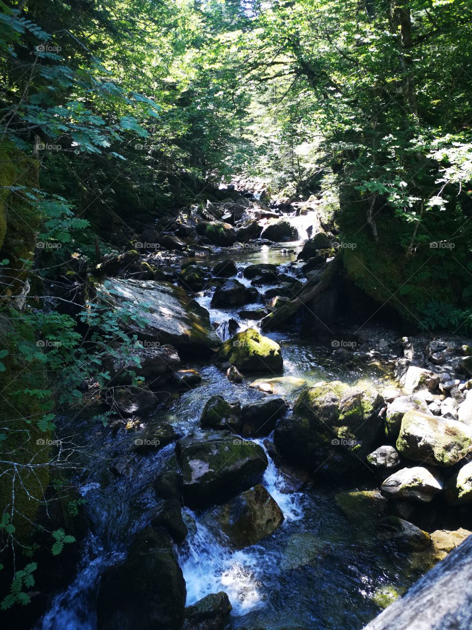 French mountain water fall