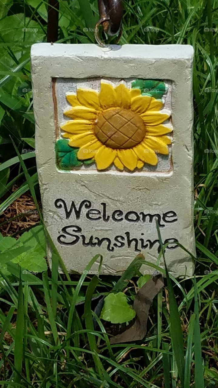 Welcome sunshine