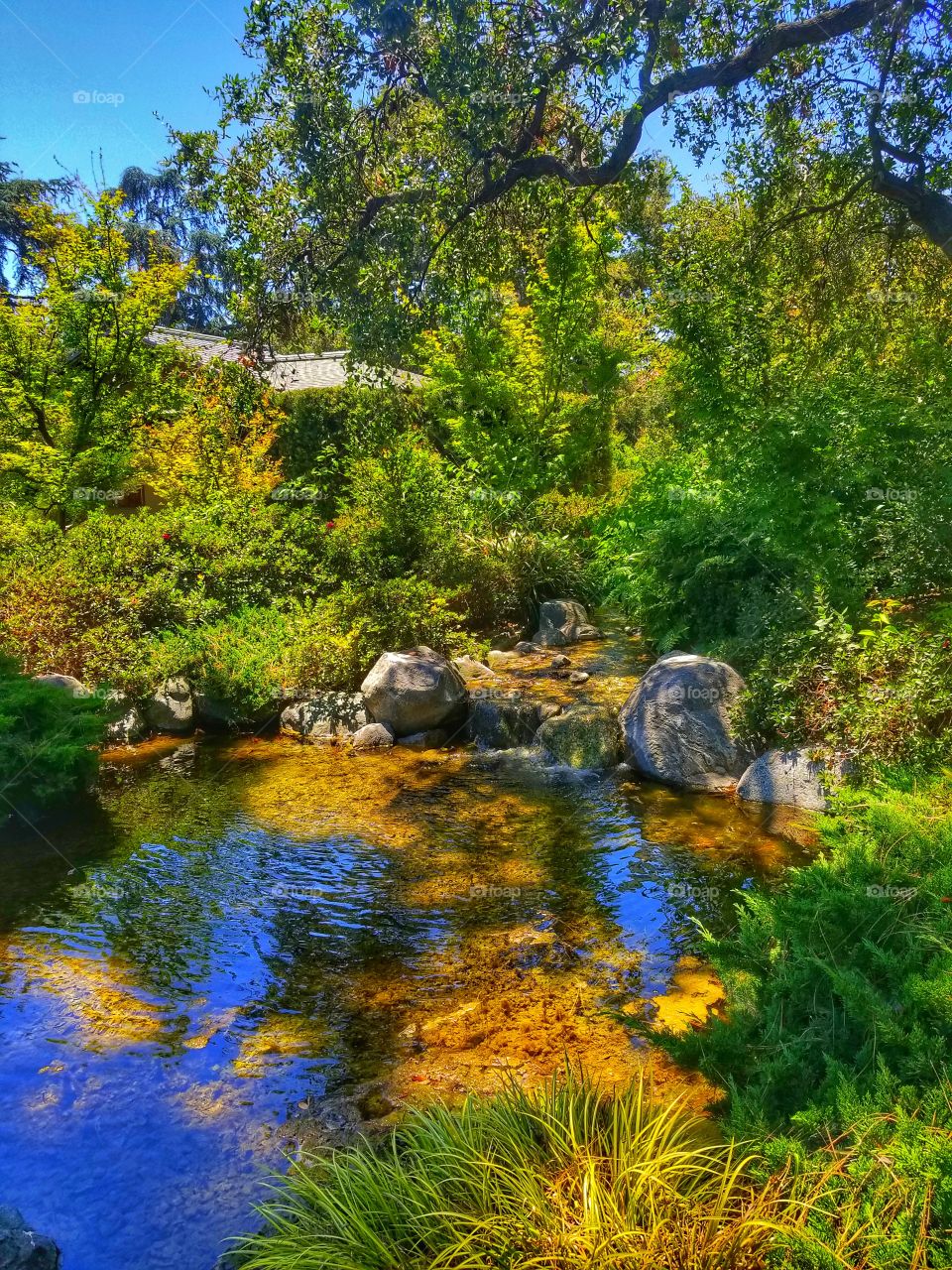 Blue sky on the water