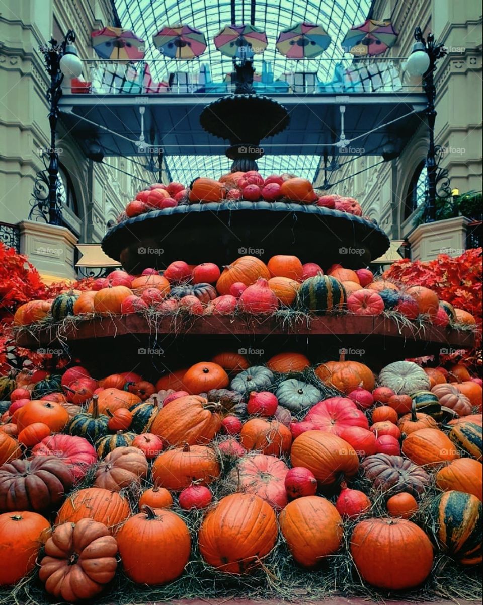 Autumn. Autumn gifts. Pumpkin fountain of different varieties and sizes, pomegranates