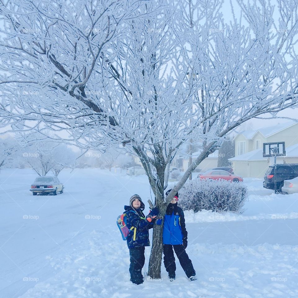 Two boy standing near bare tree