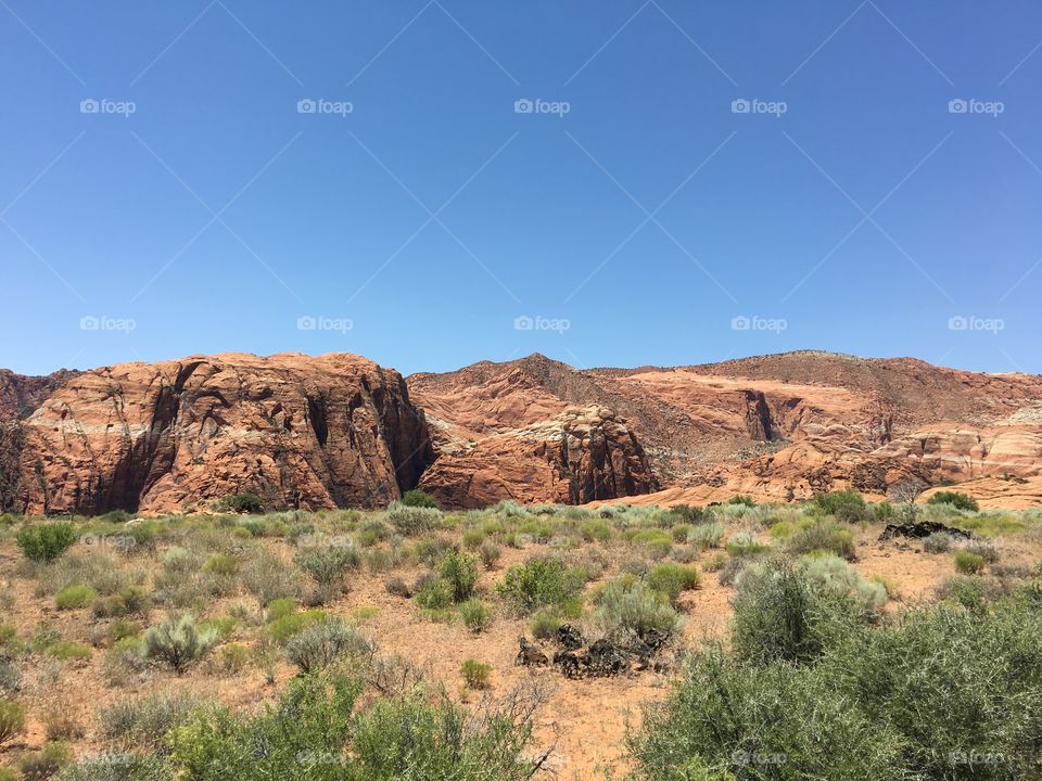 Snow Canyon Scenic Pano