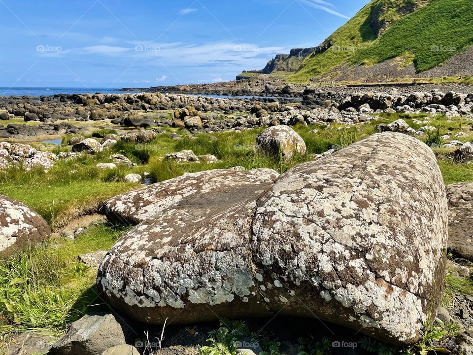 A boulder speckled with lichen sits among the lush greens of the Causeway Coast in Northern Ireland.