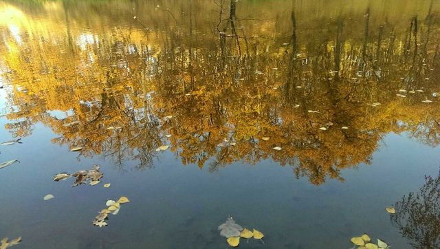 Reflection, Fall, Water, No Person, Desktop
