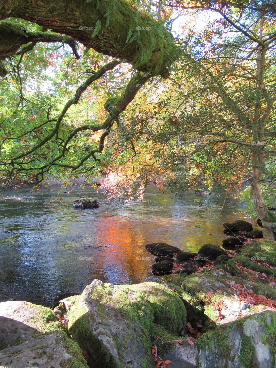 autumn sunshine bouncing of the trees onto the river