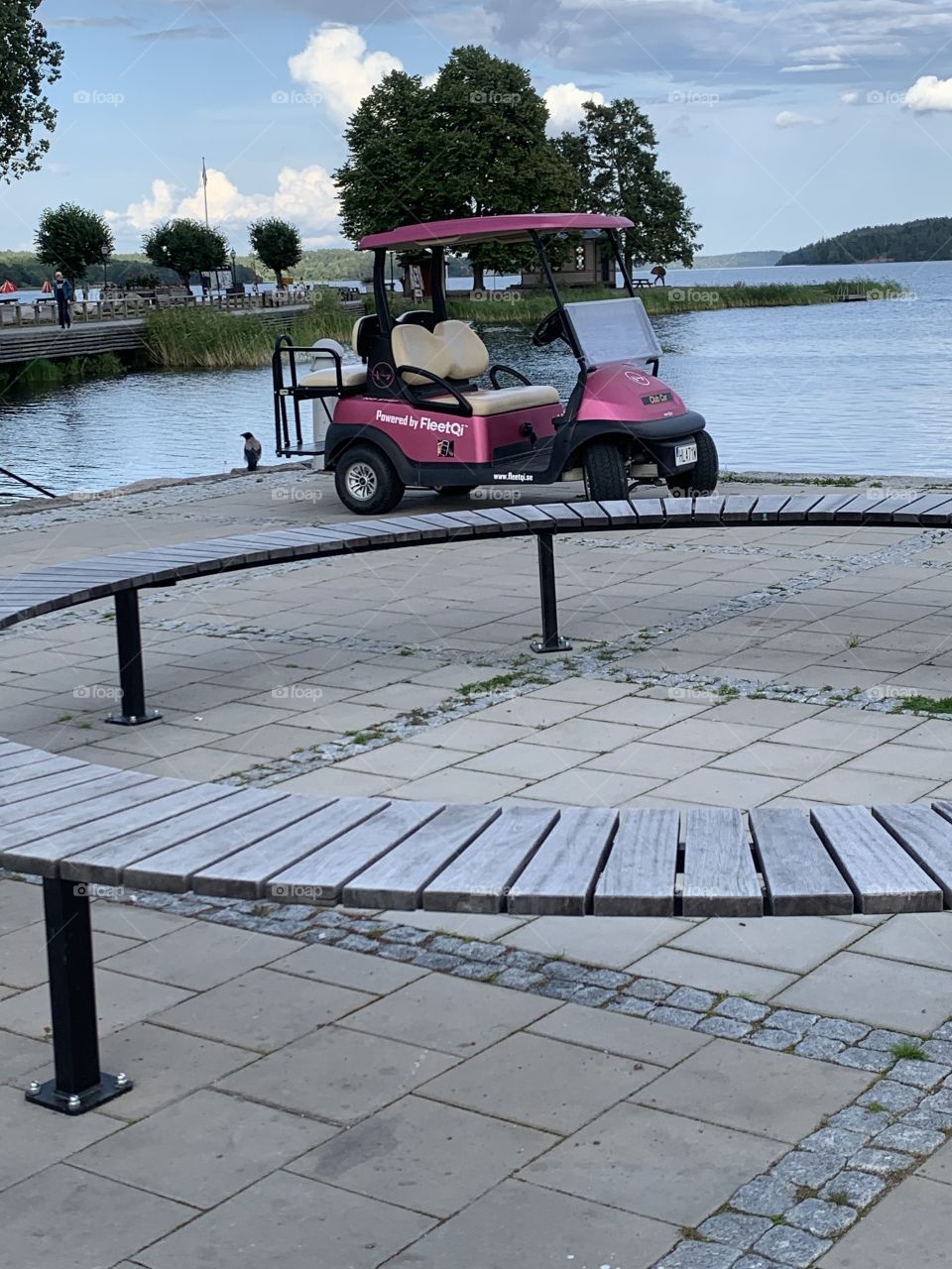 Pink golf cart