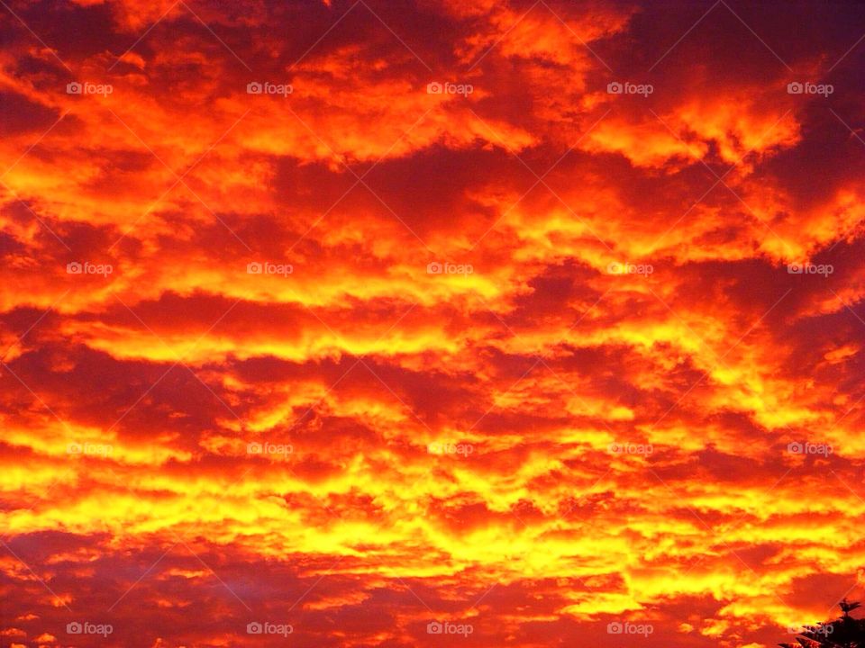 Red Sky at Night Shepard's Delight