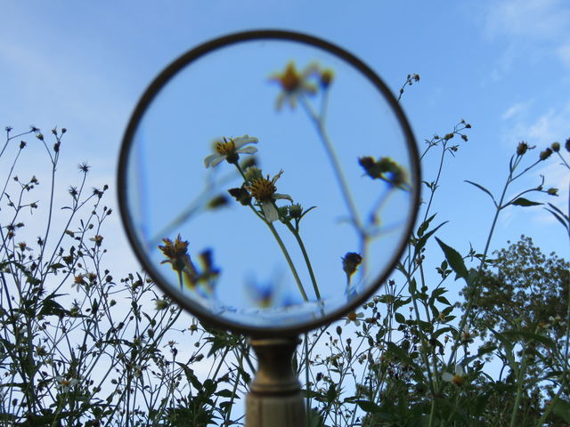 Looking through the magnifying glass