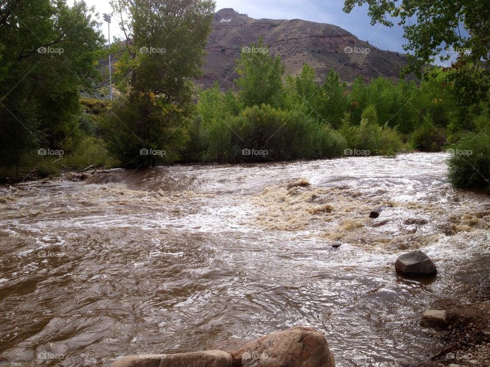 Creek Flood