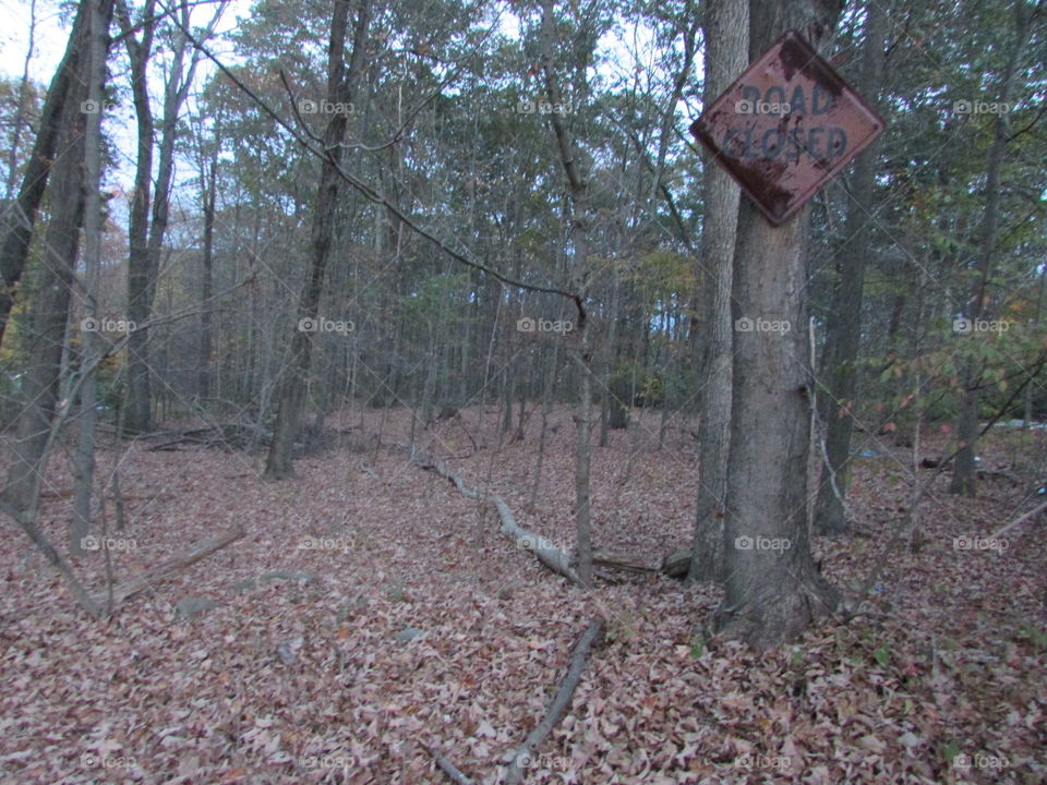 Rusted road closed sign in the middle of the woods
