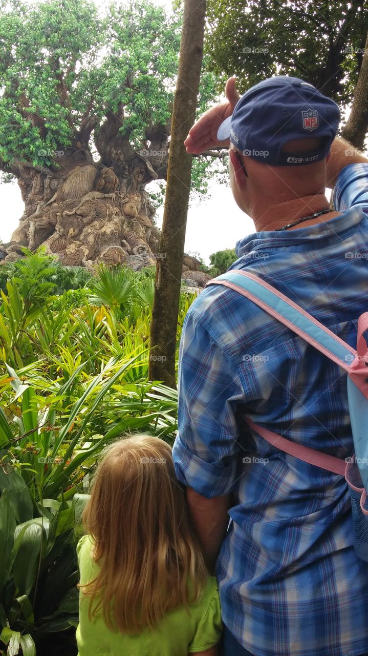 viewing the tree of life