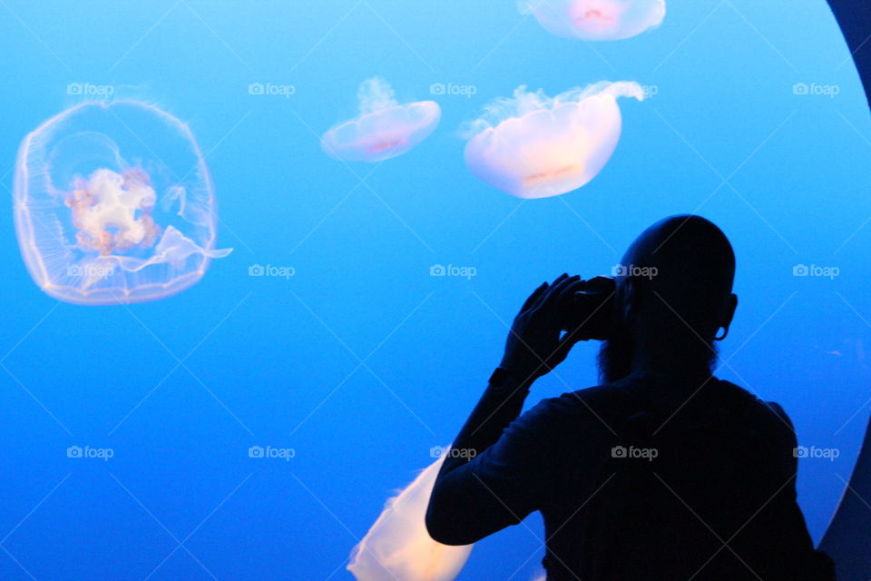 Catching a jelly fish