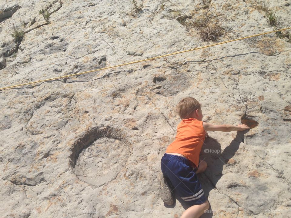 Dinosaur footprints Dinosaur Ridge, Colorado