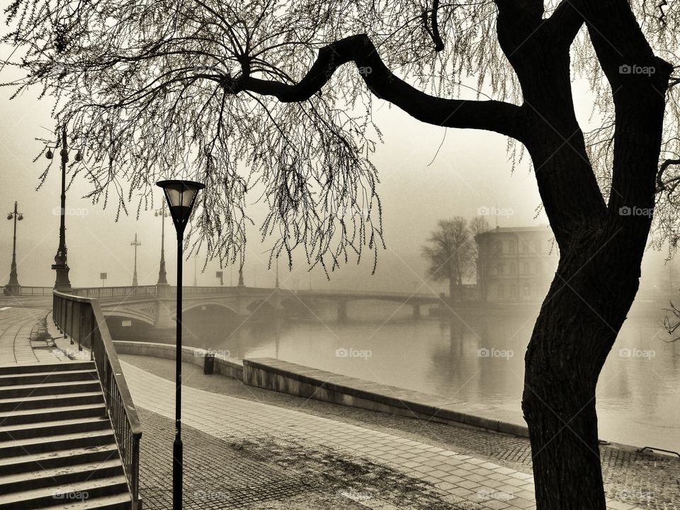 Vasabron Stockholm. An early fogy morning on My way to work. 