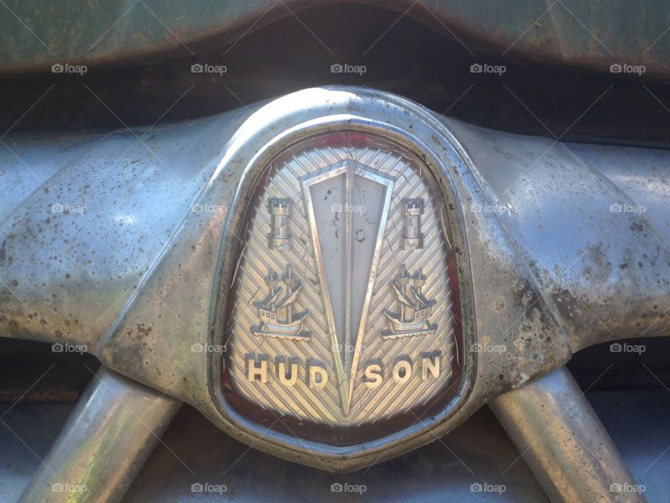 Hood ornament Hudson Wasp