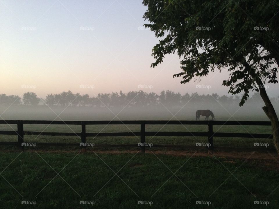 Fog over early morning