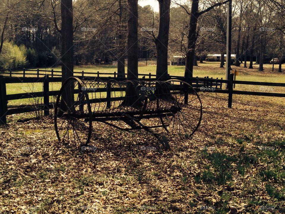 Spring at the Farm