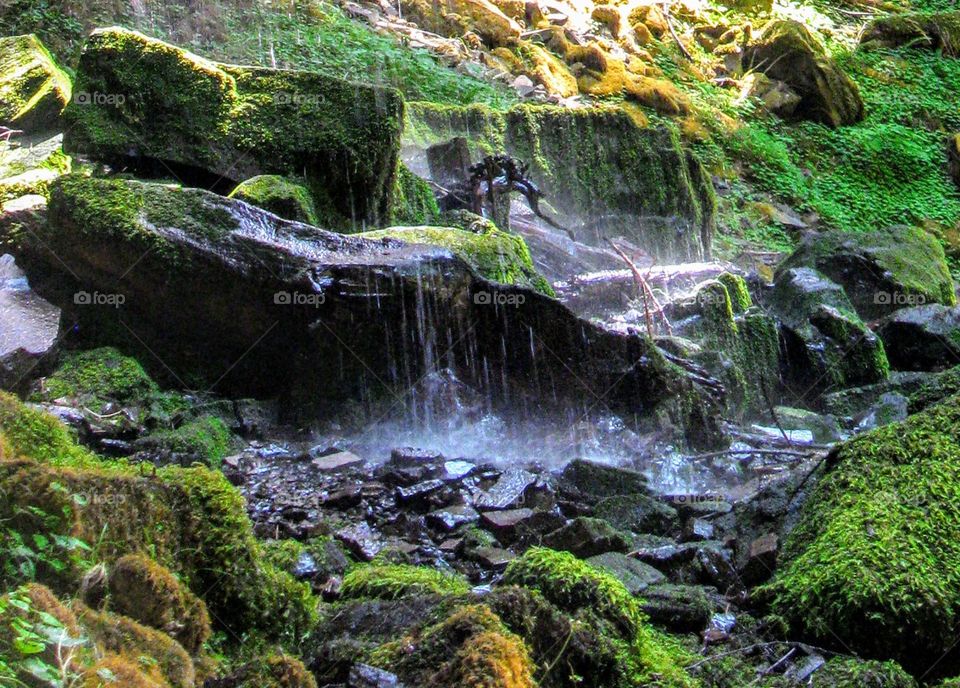 Cascading WaterFall "Grotto Falls"