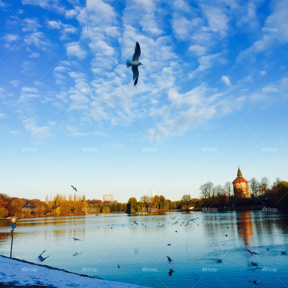 Scenic view of nature