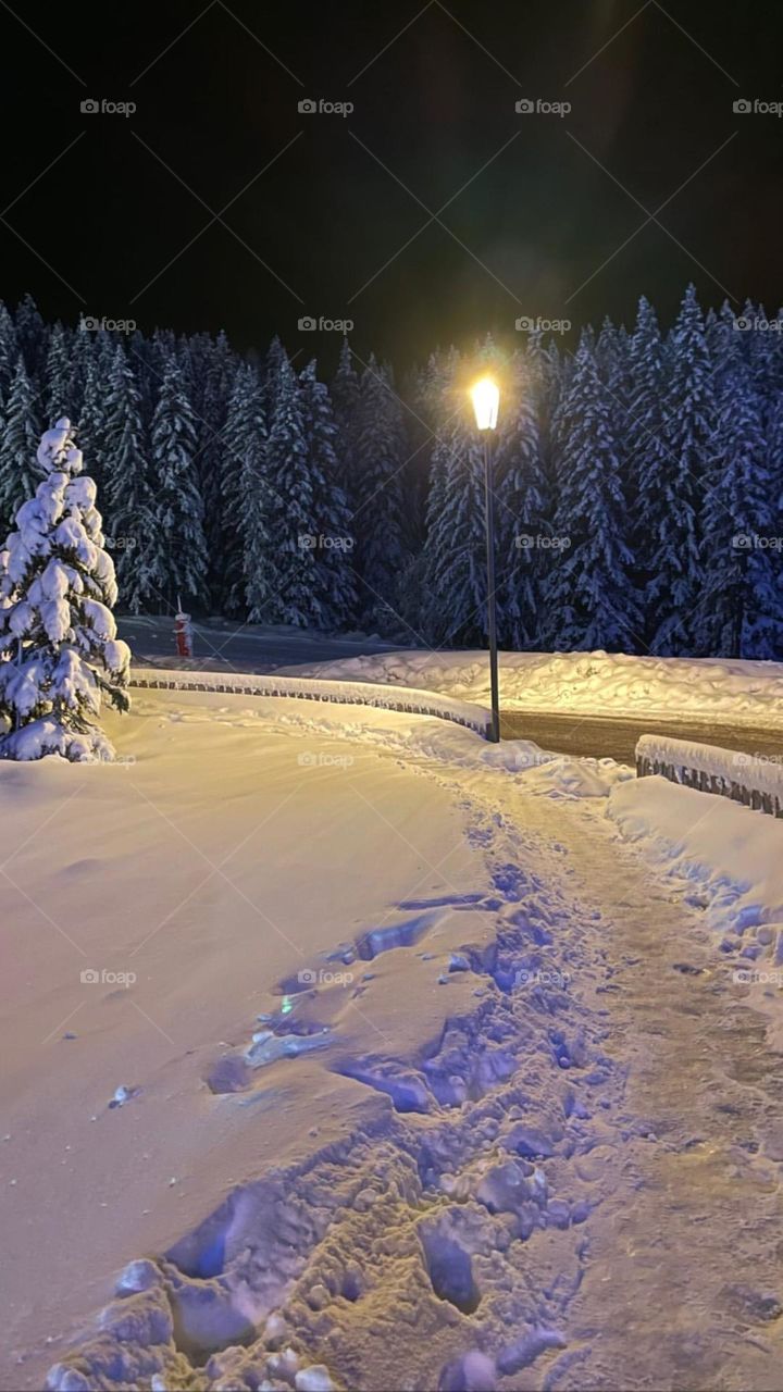 Snowy nature outside 