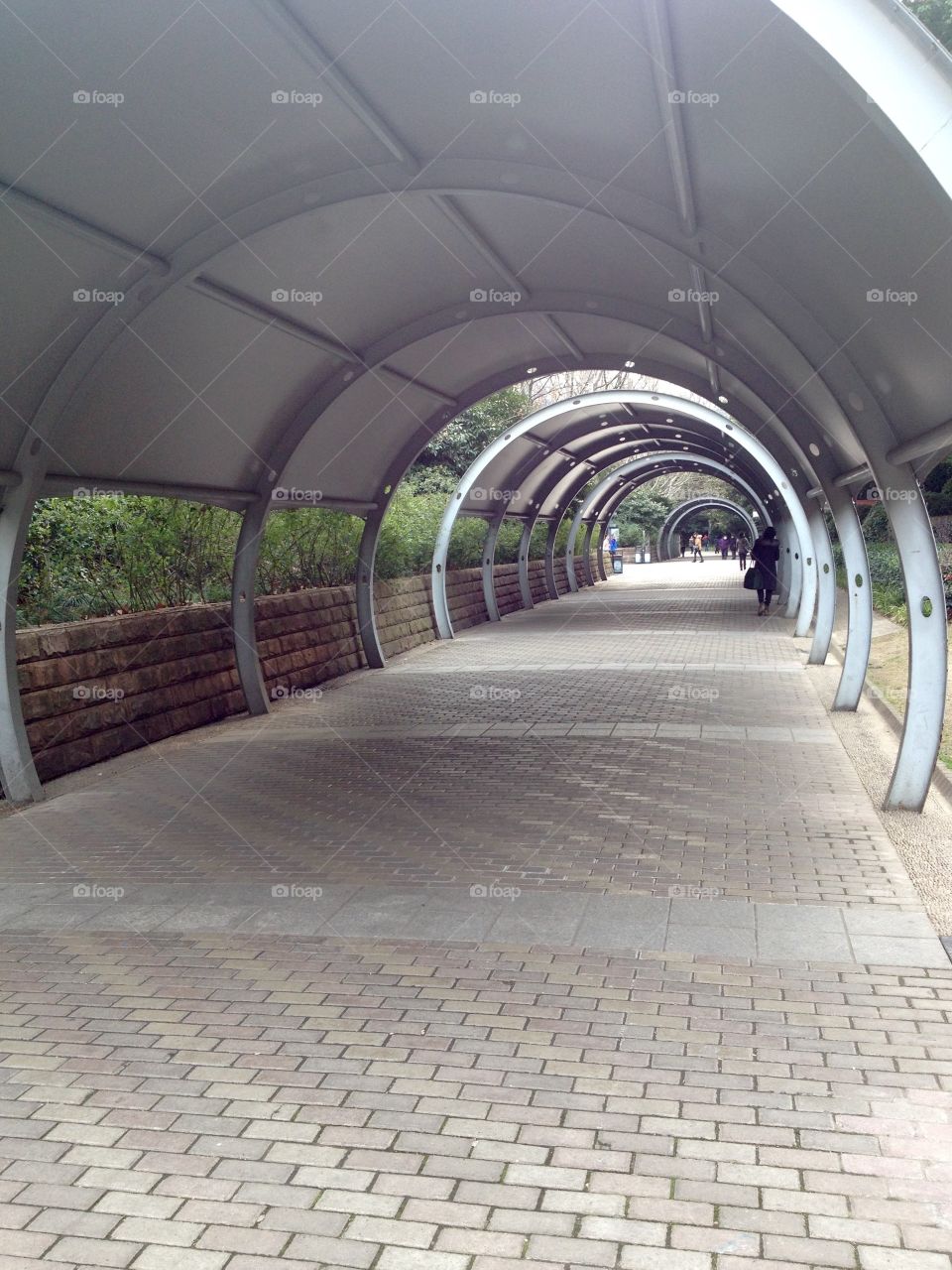 A tunnel for walkers in Shanghai