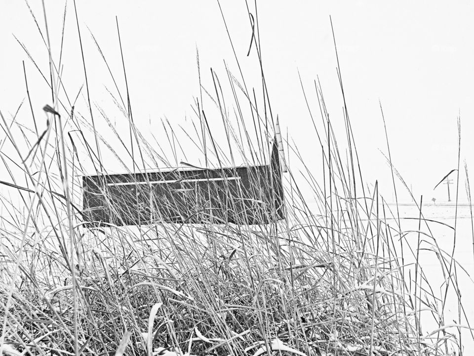 Barn Through Tall Grass 