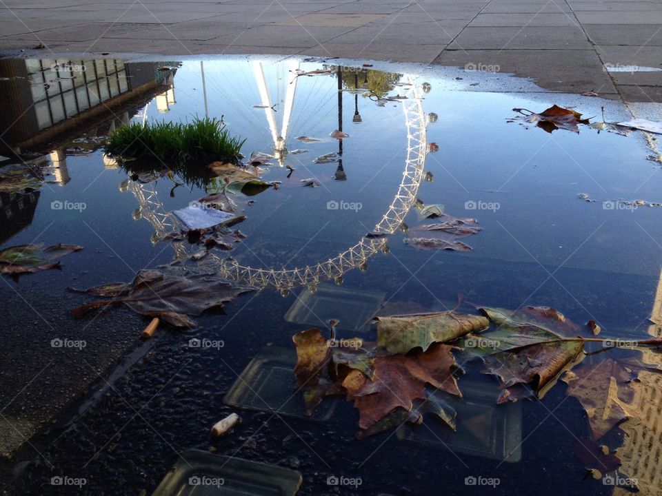 Reflection in puddle