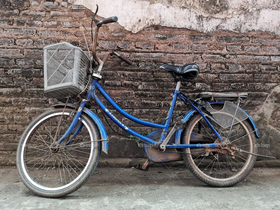 Bicycles are a cheap and healthy means of transportation