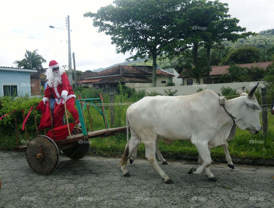 How Santa arrives in Brazil...