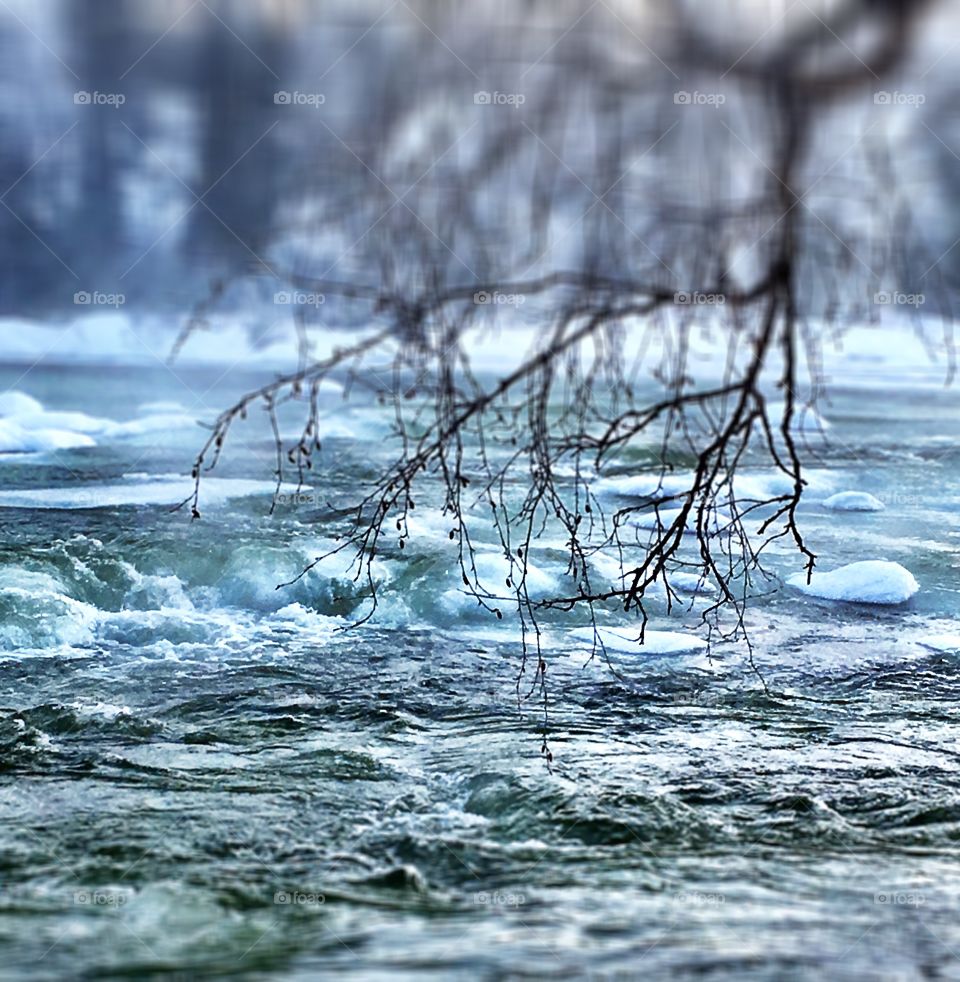 River in a cold winter day