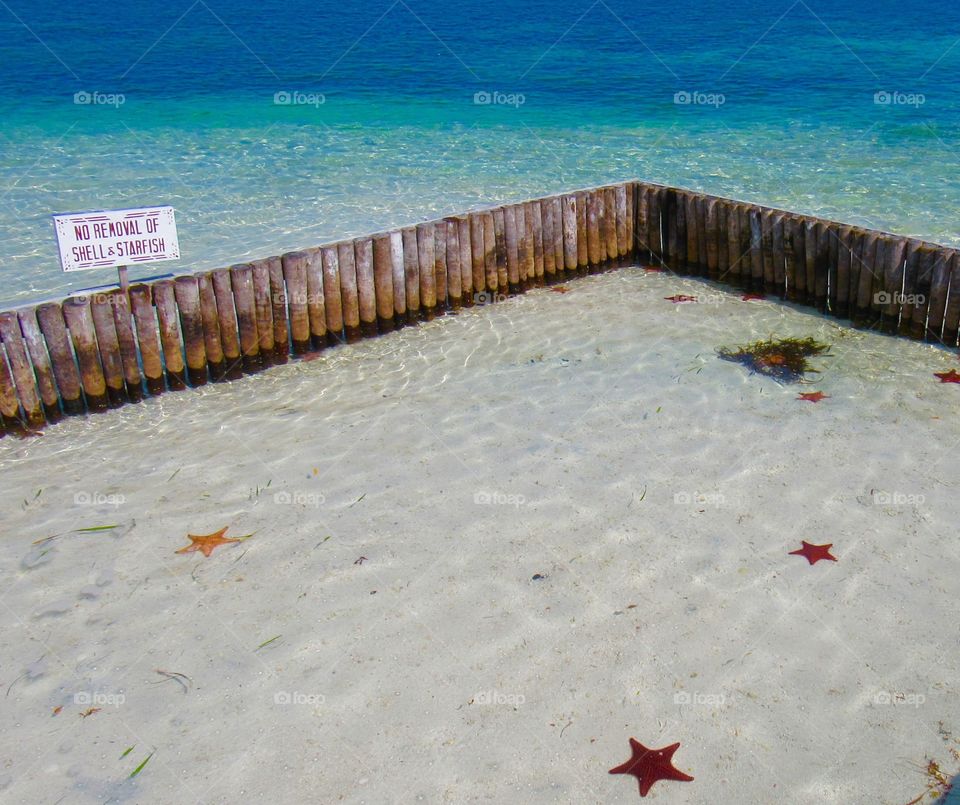 Starfish island