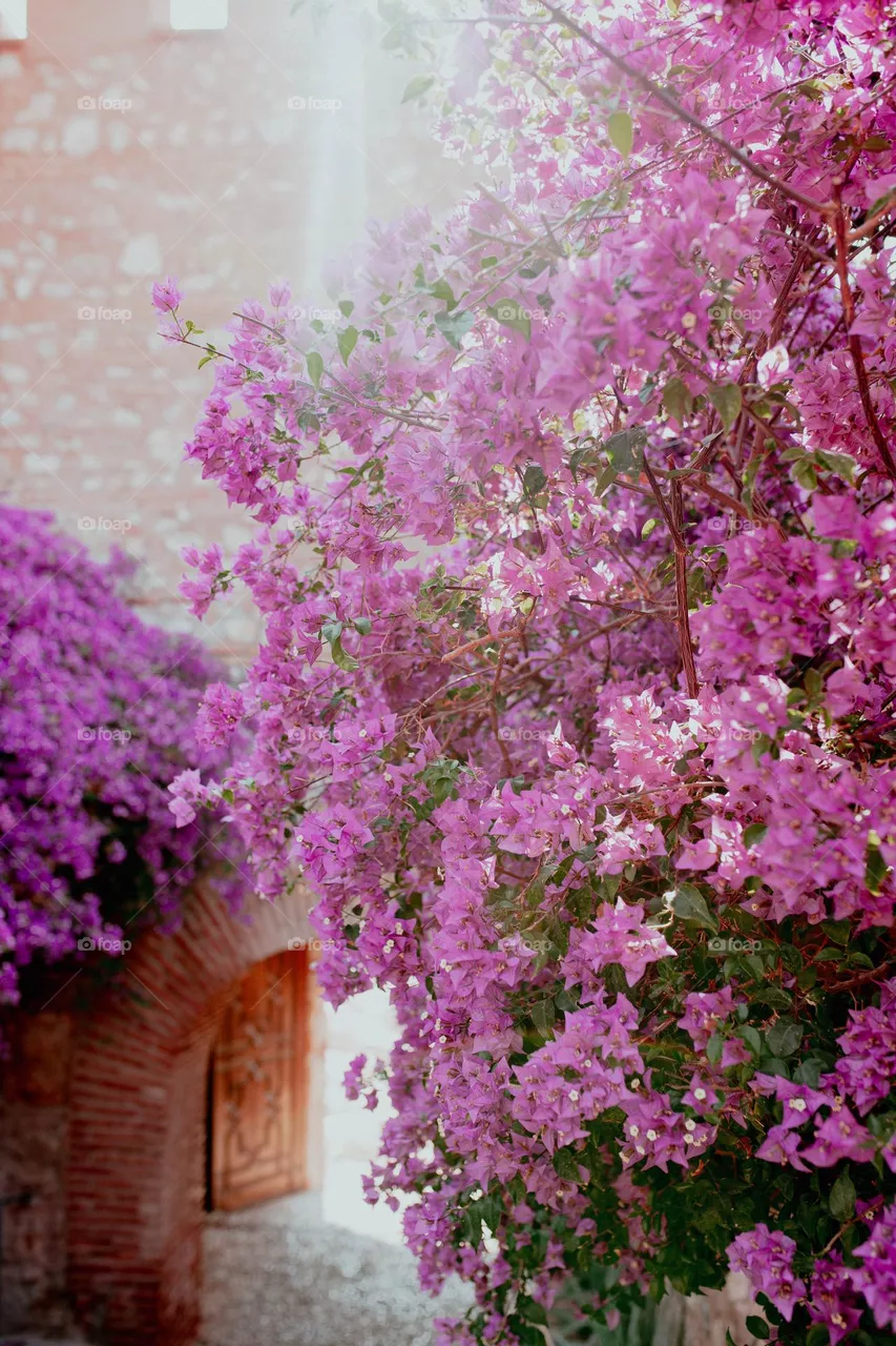 Castle Almeria 
