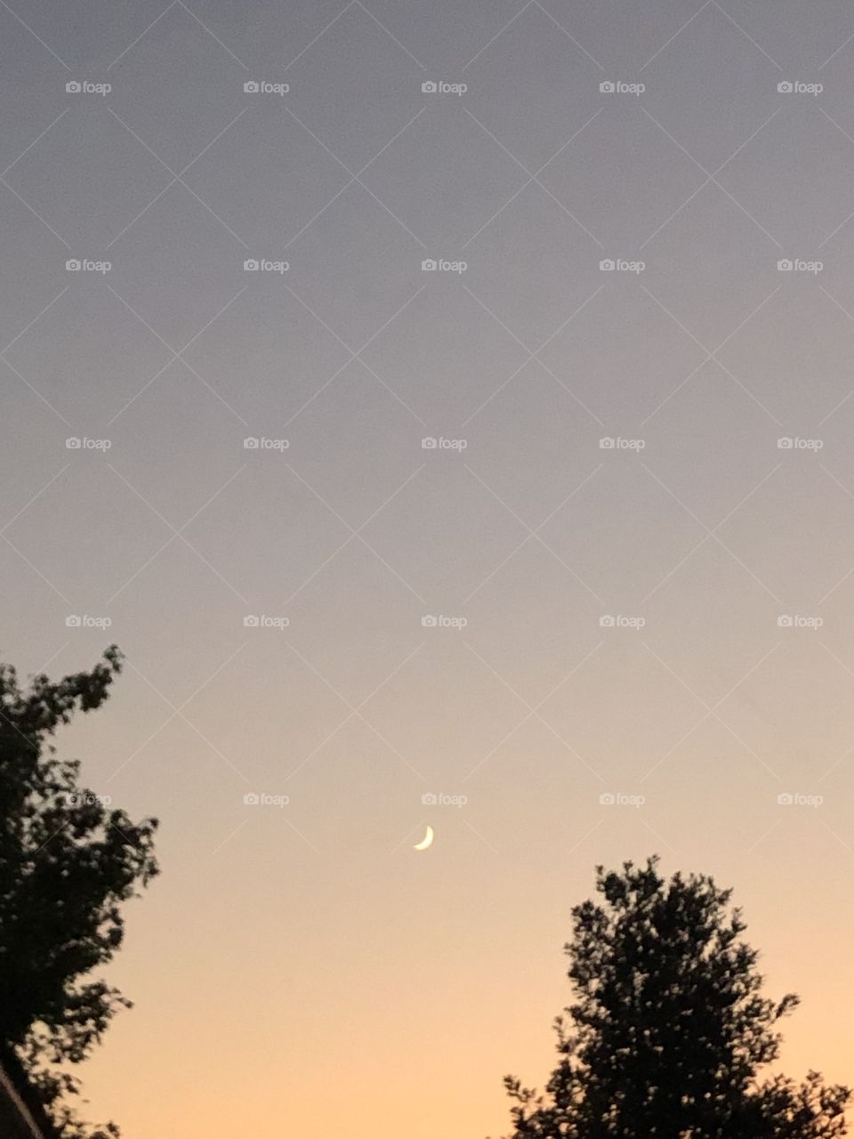 The moon as the sun sets