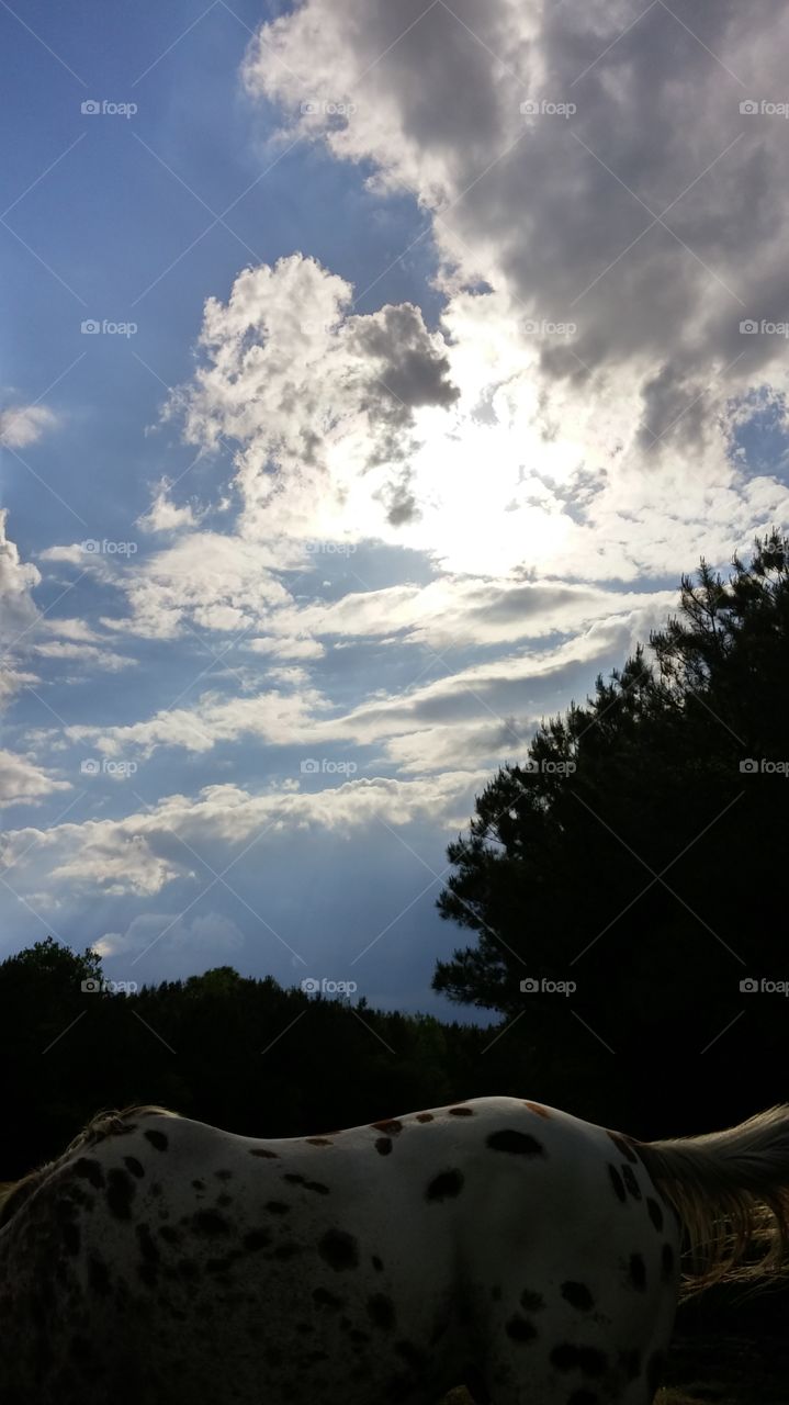 Sun thru the clouds over Kidds back