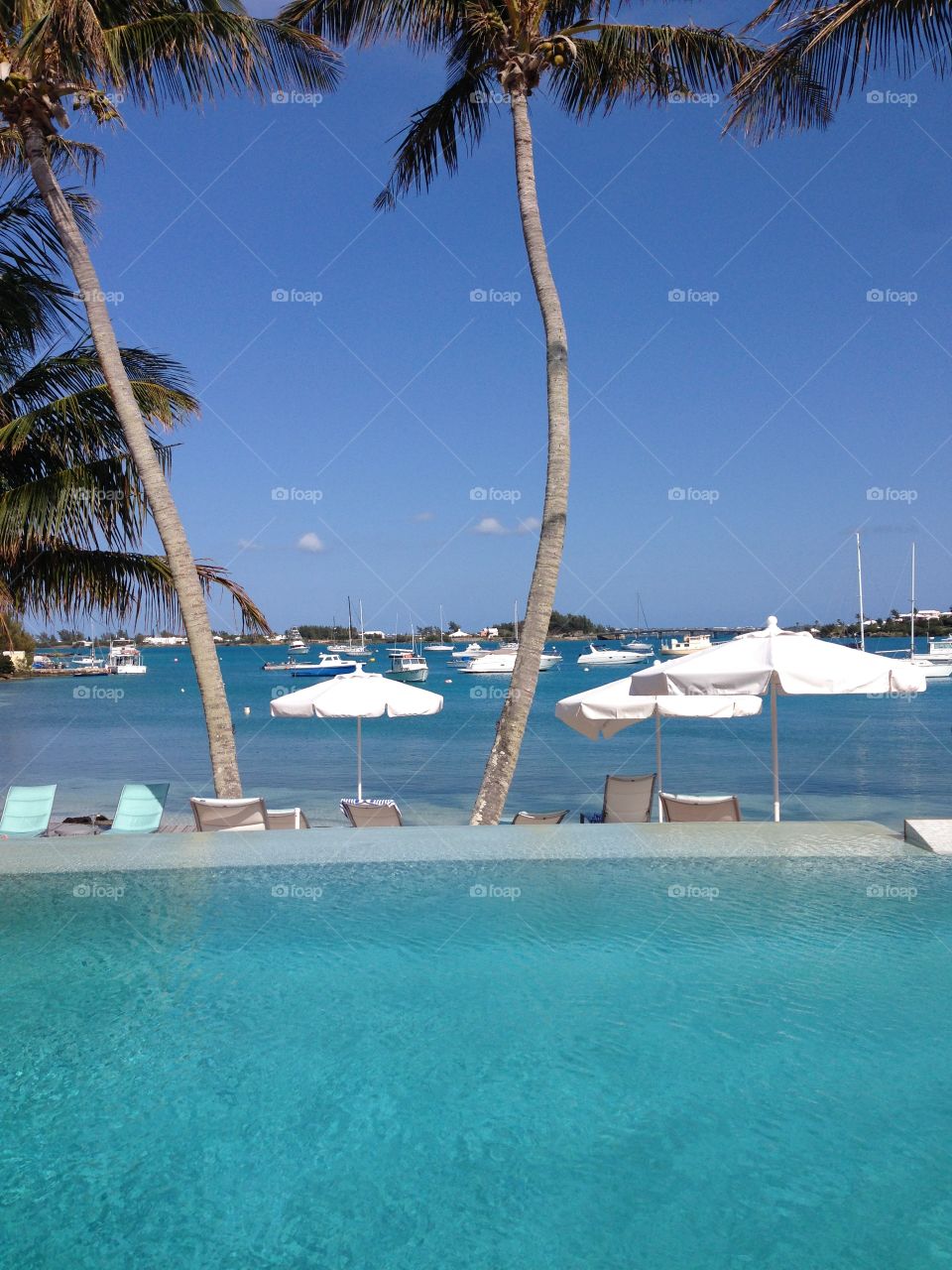 Gorgeous view poolside in Bermuda