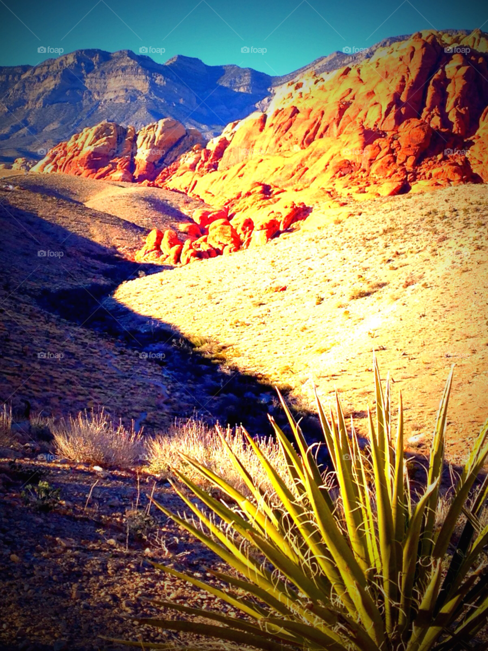 red rock canyon nevada nature colorful mountains by stevehardley7