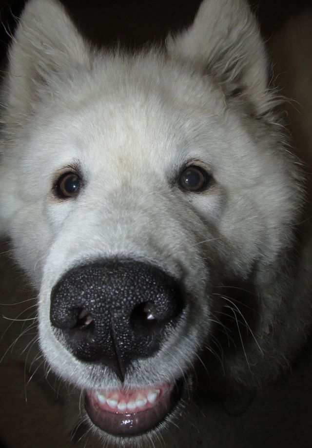 Zeus' Nose