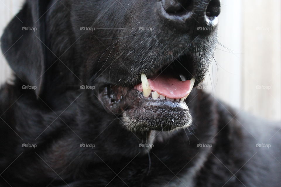 Briggs, showing off his pearly whites