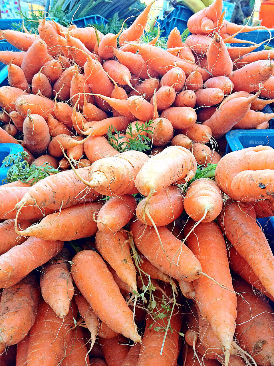 food orange fresh raw by aphillips24
