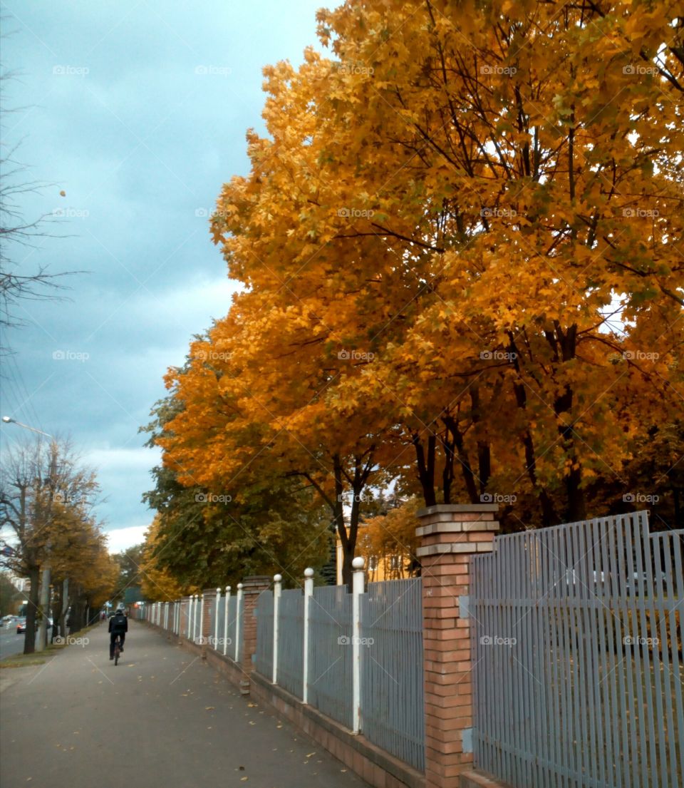 autumn city