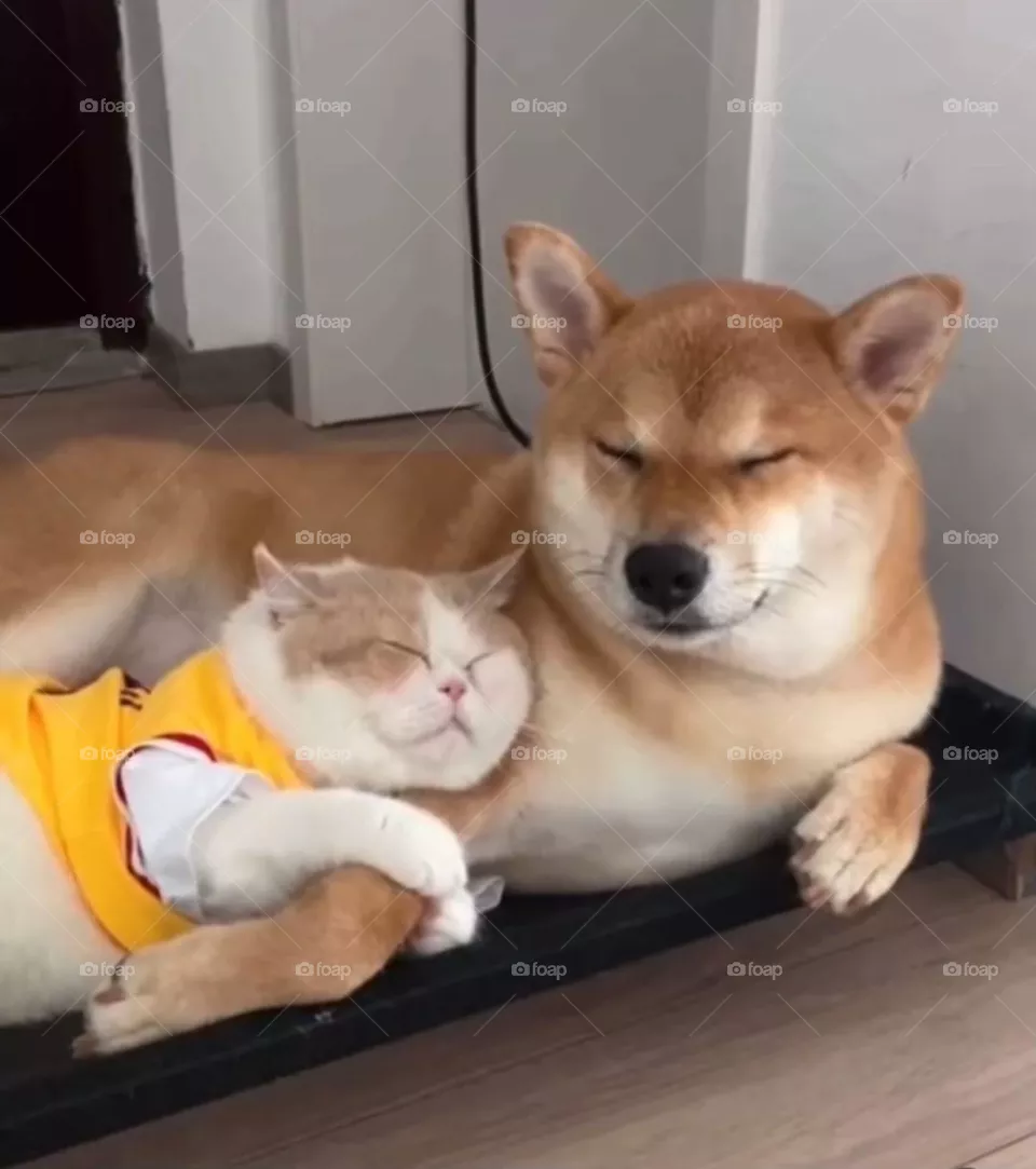 Sleeping Together