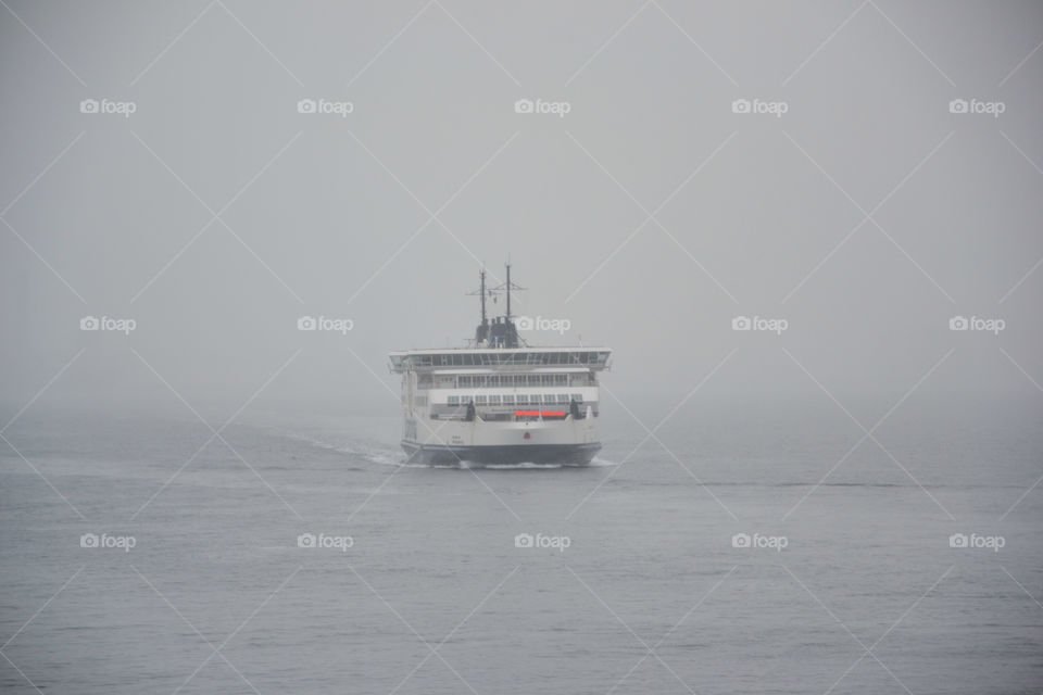 Chip (scandlines from Helsingborg to Helsingör Sweden-Denmark) in foggy waters.