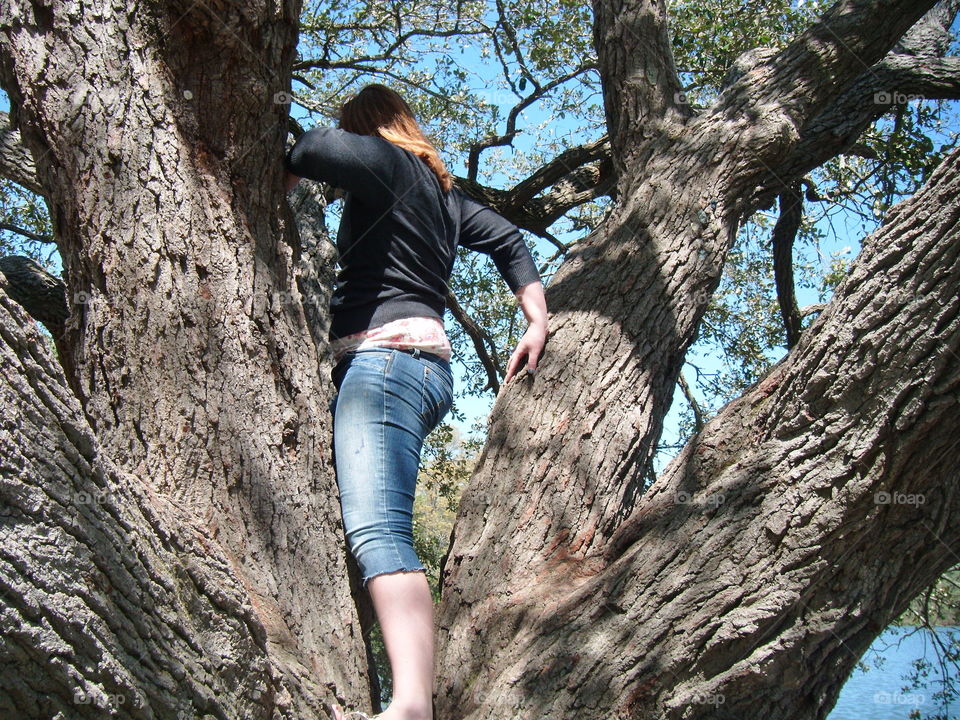 In the trees