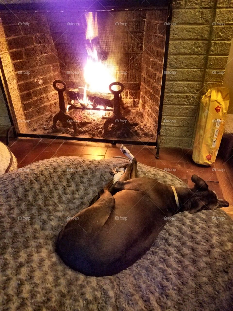 Dog laying on bed in front of burning fireplace.