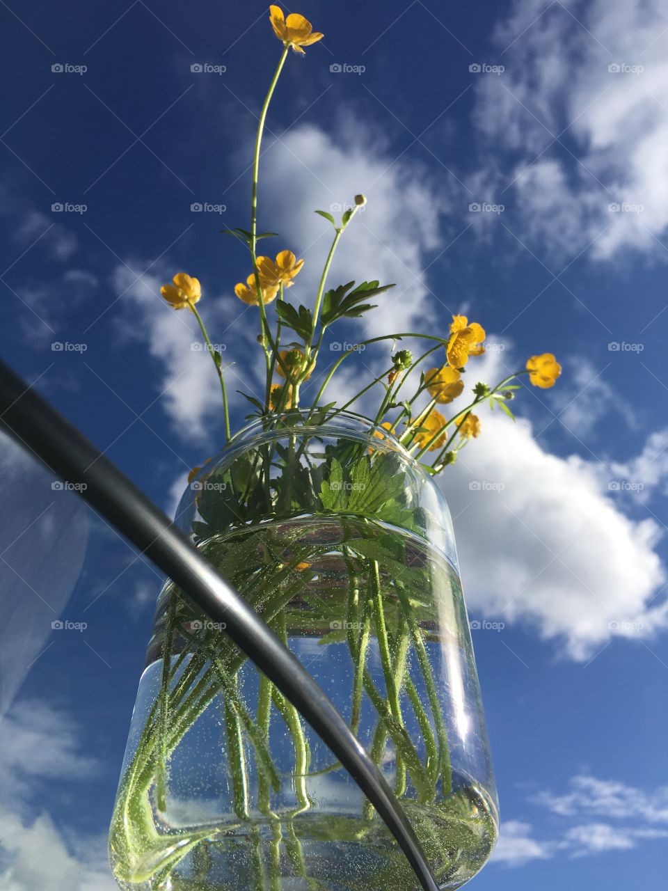 Buttercups in vase on glass table 