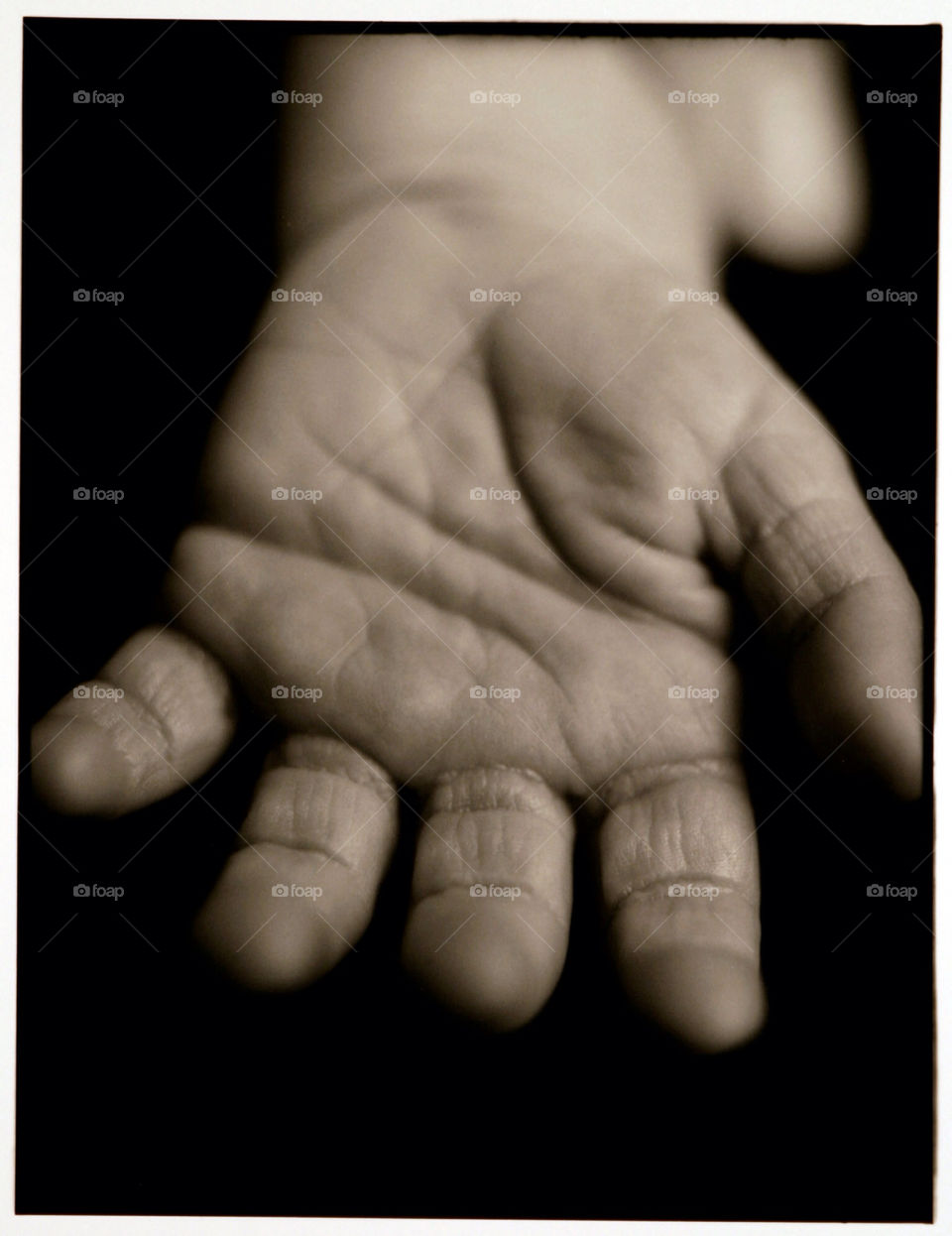 baby hand newborn by jbrinkler