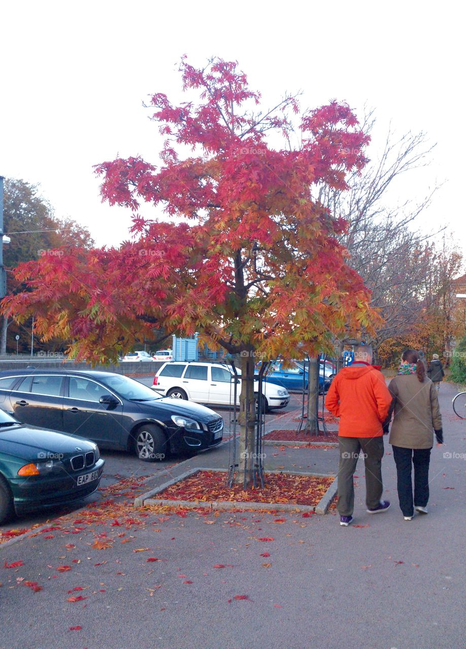 People enjoying fall. People enjoying fall